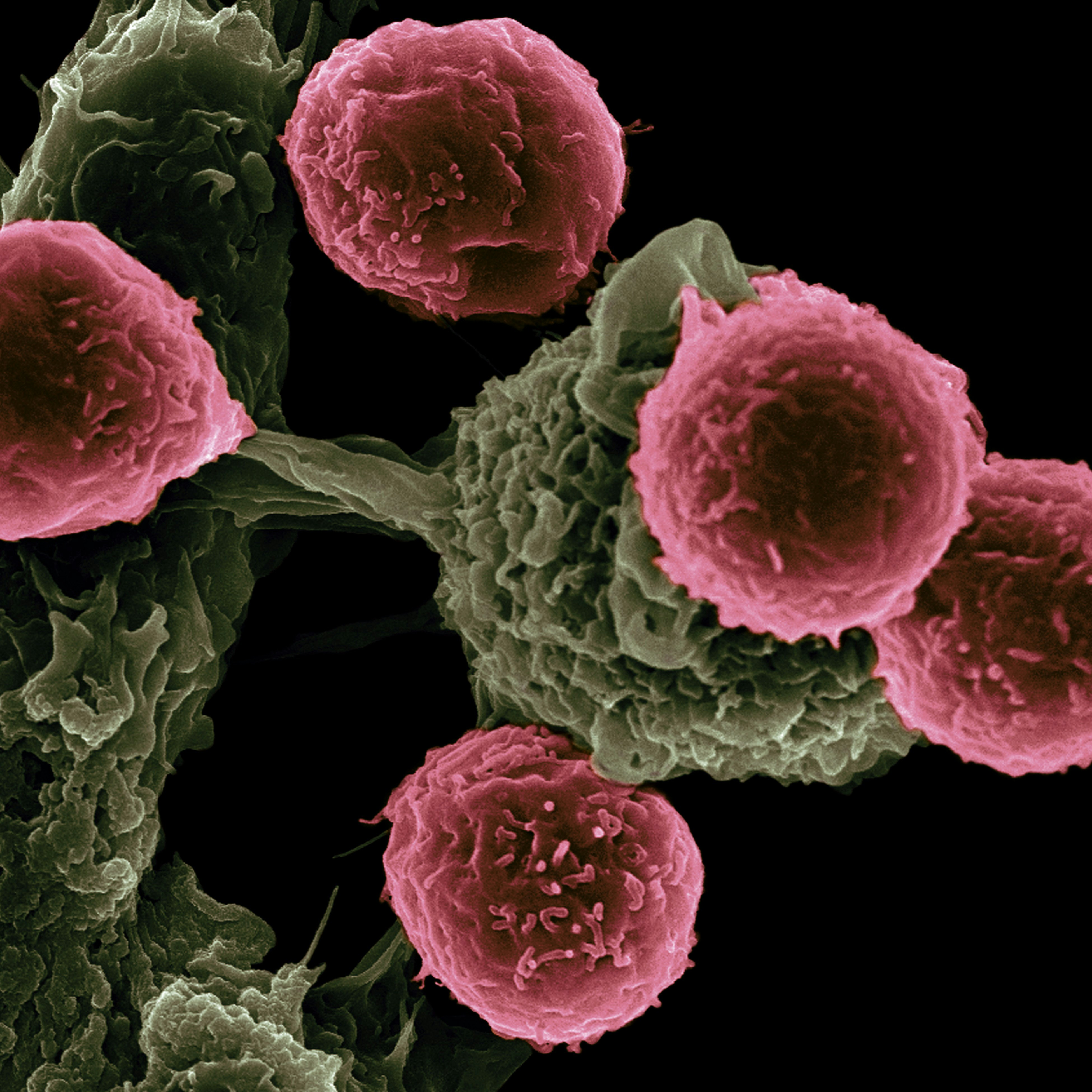 Energy Healing and Cancer Research: What the Science Actually Shows